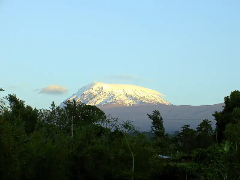 The snow-capped summit of Kibo, Kilimanjaro, above the forest